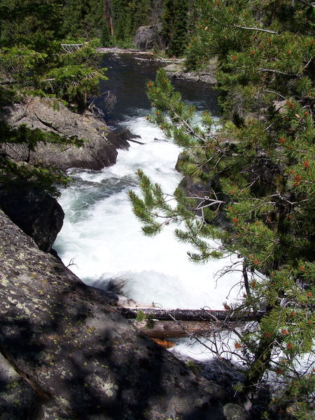 Fremont Creek Gorge. Photo by Scott Almdale.