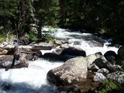 Pine Creek merging w/ Fremont Creek. Photo by Scott Almdale.