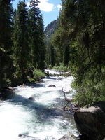 Fremont/Pine Creek on way to Fremont Lake. Photo by Scott Almdale.