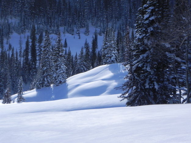 Scenery along the trail. Photo by Scott Almdale.