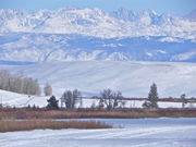 Close-up view of Wind Rivers near Horse Creek Trailhead. Photo by Scott Almdale.