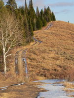 A windy path on a ridge. Photo by Scott Almdale.