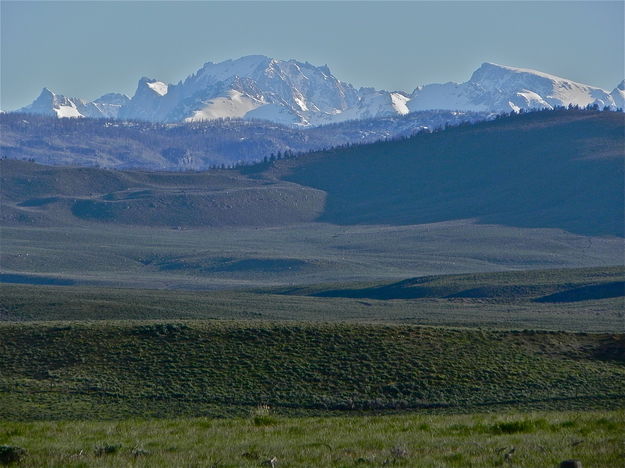 Greening-up...near Boulder. Photo by Scott Almdale.