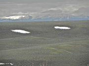 Fremont Butte Flank turning green while it is still winter at Wyoming Range Mountains. Photo by Scott Almdale.