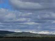 Greening up Pape Ranch. Photo by Scott Almdale.