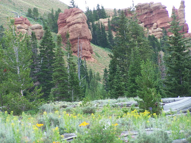 WY Range Canyon Pinnacles. Photo by Scott Almdale.