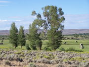 Wyoming Range Mountains Scenic Drive