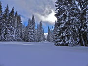 Snowmobiling Outing at Horse Creek area near Blind Bull Pass