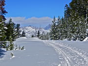 Nordic Ski at Skyline Drive Trail