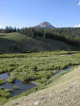 Beaver dams along North Cottonwood Creek