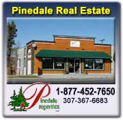 vertical banner ad example.