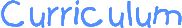 Curriculum