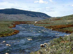 Headwaters of the Green River in the Upper Green River Valley north of Pinedale. Photo by Pinedale Online.