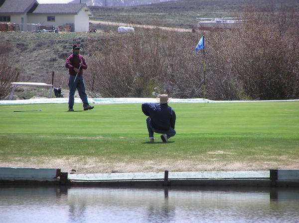 Golf Rendezvous Meadows Golf Course Pinedale Wyoming