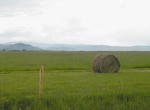 Some ranchers got part of their fields hayed before the rain started.