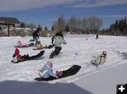 Pull a kid sled dog race. Pinedale Online photo.
