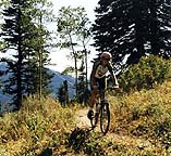 Mountain Biking