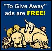 To Give Away ads are free!