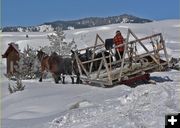 The Unstoppable Hay Rack