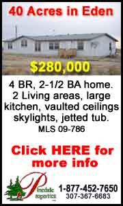 Pinedale Properties Real Estate Inc.