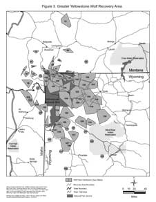 Greater Yellowstone Wolf Recovery Area