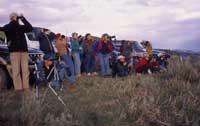 Wolf Watchers at Yellowstone National Park. Photo by  Jim Peaco.