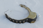 Dropped wolf radio collar. NPS photo.