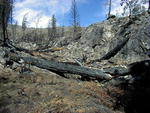 The worst of the burn as seen from the trail
