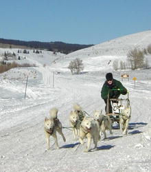 Pinedale Classic Sled Dog Race