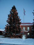 Pinedale Christmas tree