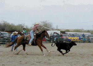 Pinedale High School Rodeo