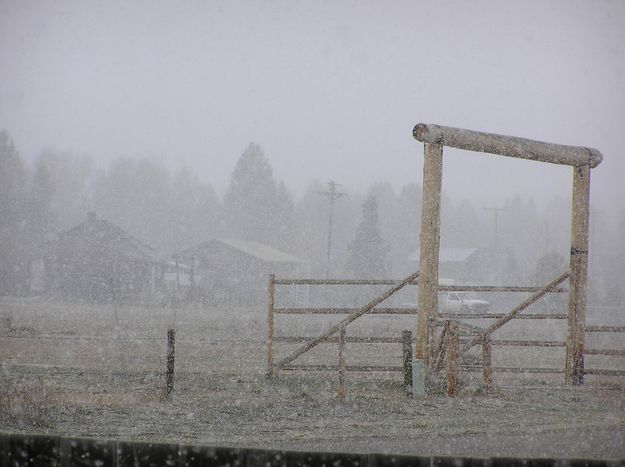 April Spring Snowstorm. Photo by Pinedale Online.