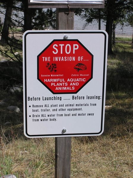 Harmful Plants Sign. Photo by Pinedale Online.