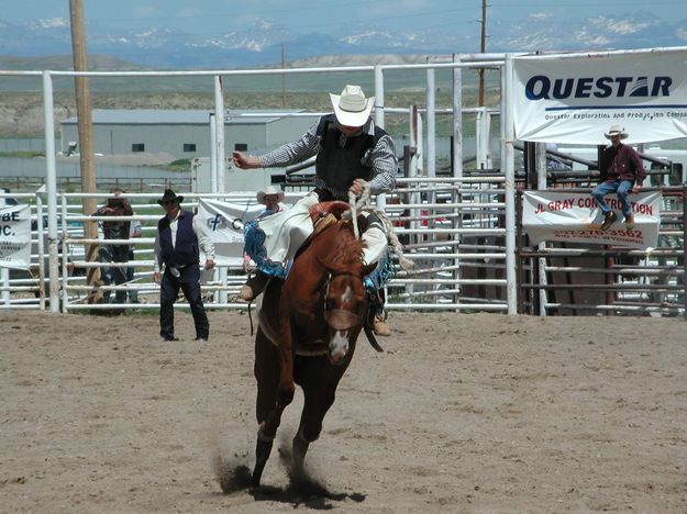 Saddle Bronc Rider<BR>Clayton Shelby. Photo by Pinedale Online.