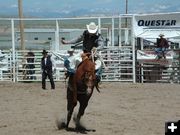 Saddle Bronc Rider<BR>Clayton Shelby. Photo by Pinedale Online.
