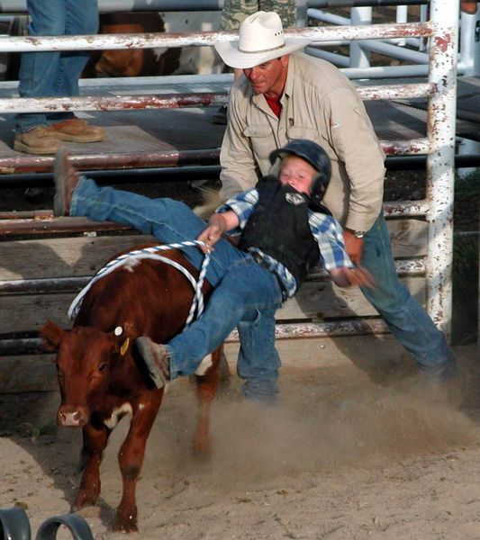 Calf Rider. Photo by Pinedale Online.