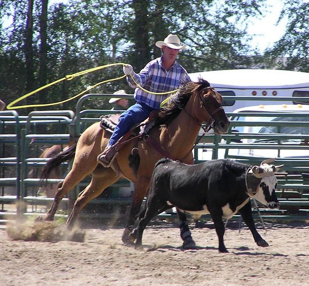 Cowboy Roping. Photo by Pinedale Online.