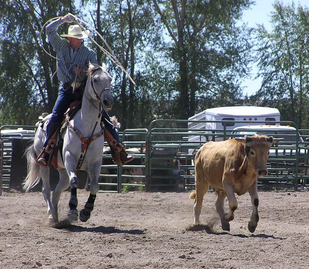 Roping Cowboy. Photo by Pinedale Online.