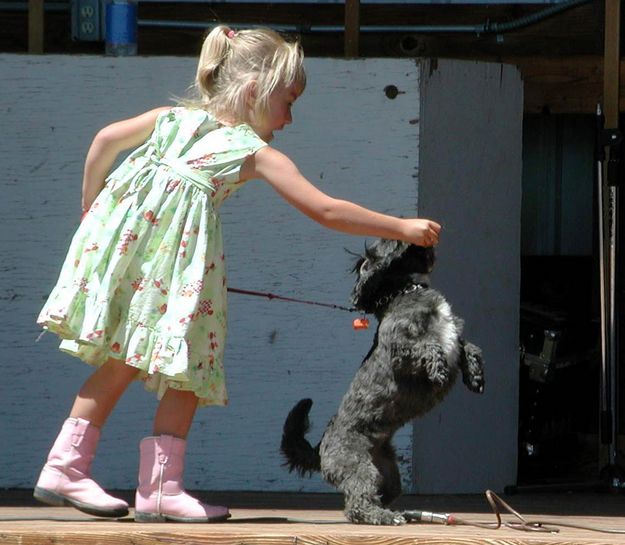 Pet Show. Photo by Pinedale Online.