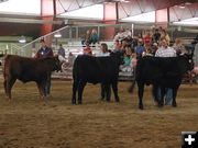 Open Angus Show. Photo by Pinedale Online.