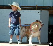 Pet Costume Show. Photo by Pinedale Online.