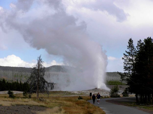 Old Faithful erupts. Photo by Pinedale Online.