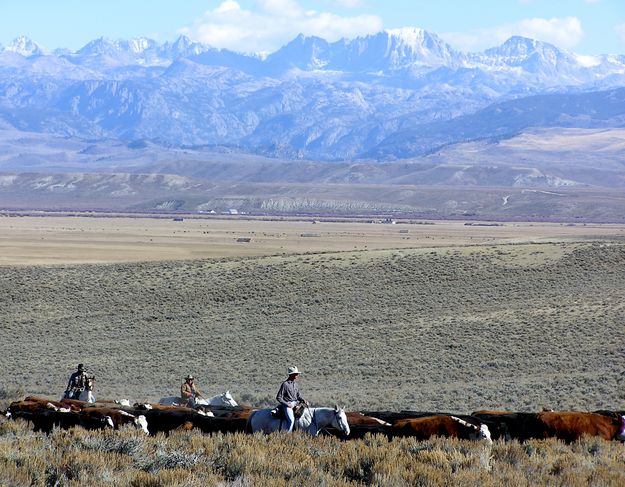 Wind River Cattle Drive: Albert Sommers, Barbara McKinley and Jamie Burgess. Photo by Pinedale Online.