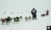 Sled Dog Race. Photo by Pinedale Online.