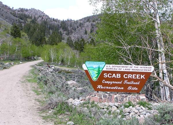 Scab Creek Campground. Photo by Pinedale Online.