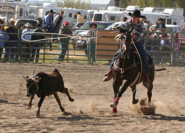 Team Roper. Photo by Pinedale Online.