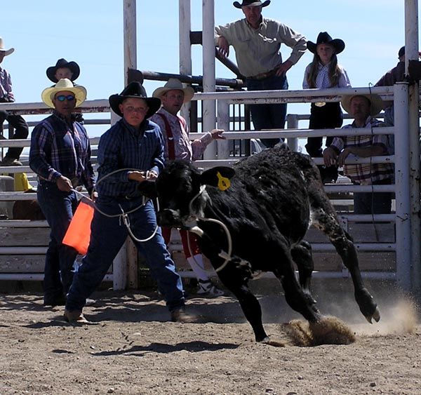 Rope the calf. Photo by Pinedale Online.