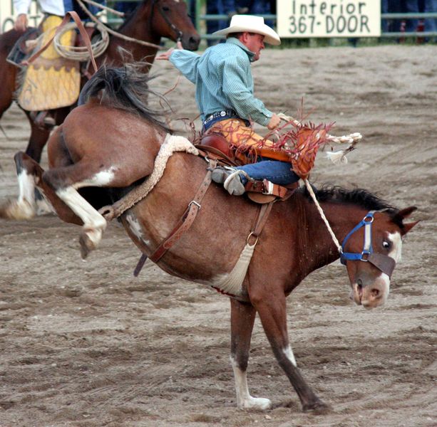 Saddle Bronc Ride. Photo by Pinedale Online.