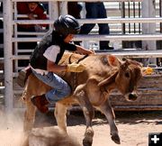 Calf Riding. Photo by Pinedale Online.