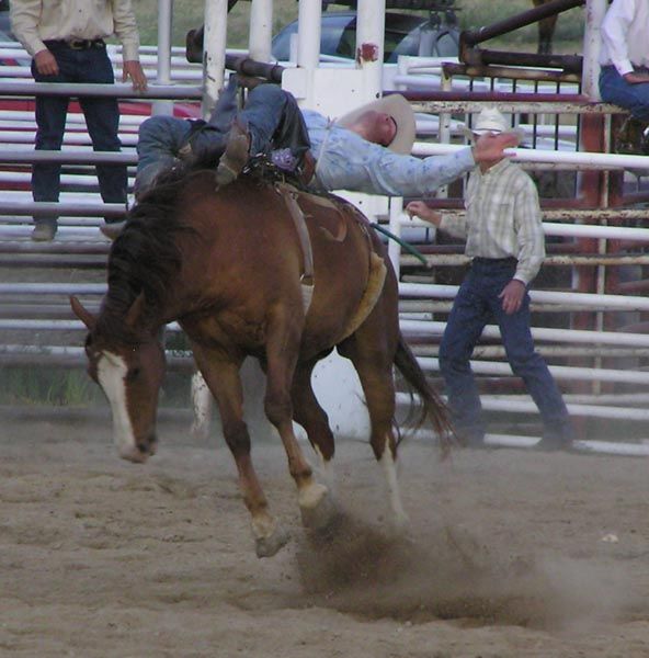 Bronc Ride. Photo by Pinedale Online.
